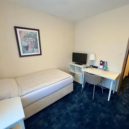 Zum Grafen Hallermunt Hotel 2*