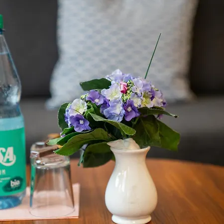 Zum Grafen Hallermunt 2* 스프링게