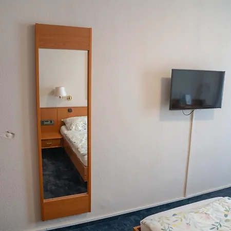 호텔 Zum Grafen Hallermunt 2*