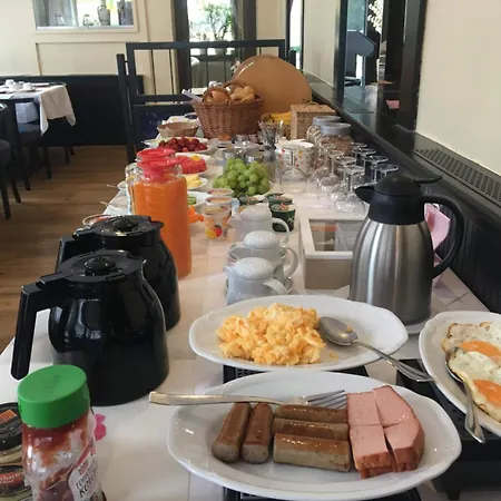 Zum Grafen Hallermunt 호텔 2*