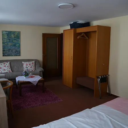 Hotel Zum Grafen Hallermunt 2*